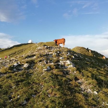 Cahute De Montagne Pour Profiter Du Haut Jura Prémanon Eksteriør bilde