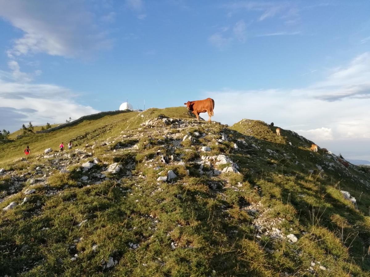 Cahute De Montagne Pour Profiter Du Haut Jura Prémanon Eksteriør bilde