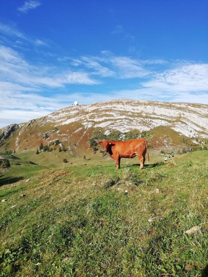 Cahute De Montagne Pour Profiter Du Haut Jura Prémanon Eksteriør bilde