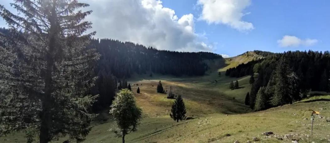 Cahute De Montagne Pour Profiter Du Haut Jura Prémanon Eksteriør bilde